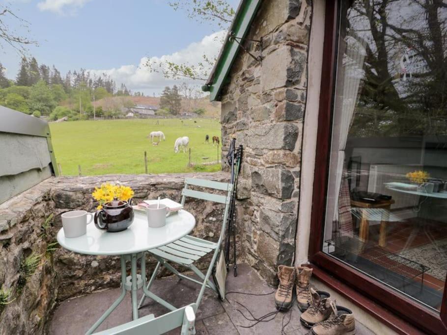 Y Gribyn - Modern Stone Cottage Within Snowdonia'S National Park Dolgellau Extérieur photo