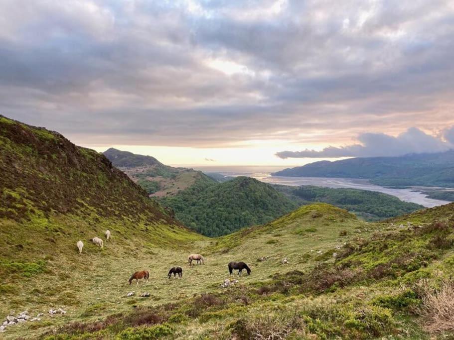 Y Gribyn - Modern Stone Cottage Within Snowdonia'S National Park Dolgellau Extérieur photo