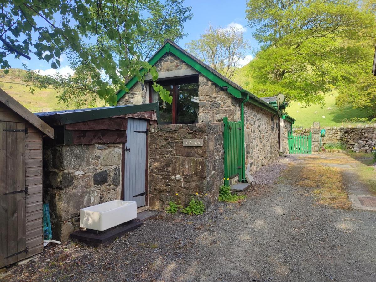 Y Gribyn - Modern Stone Cottage Within Snowdonia'S National Park Dolgellau Extérieur photo
