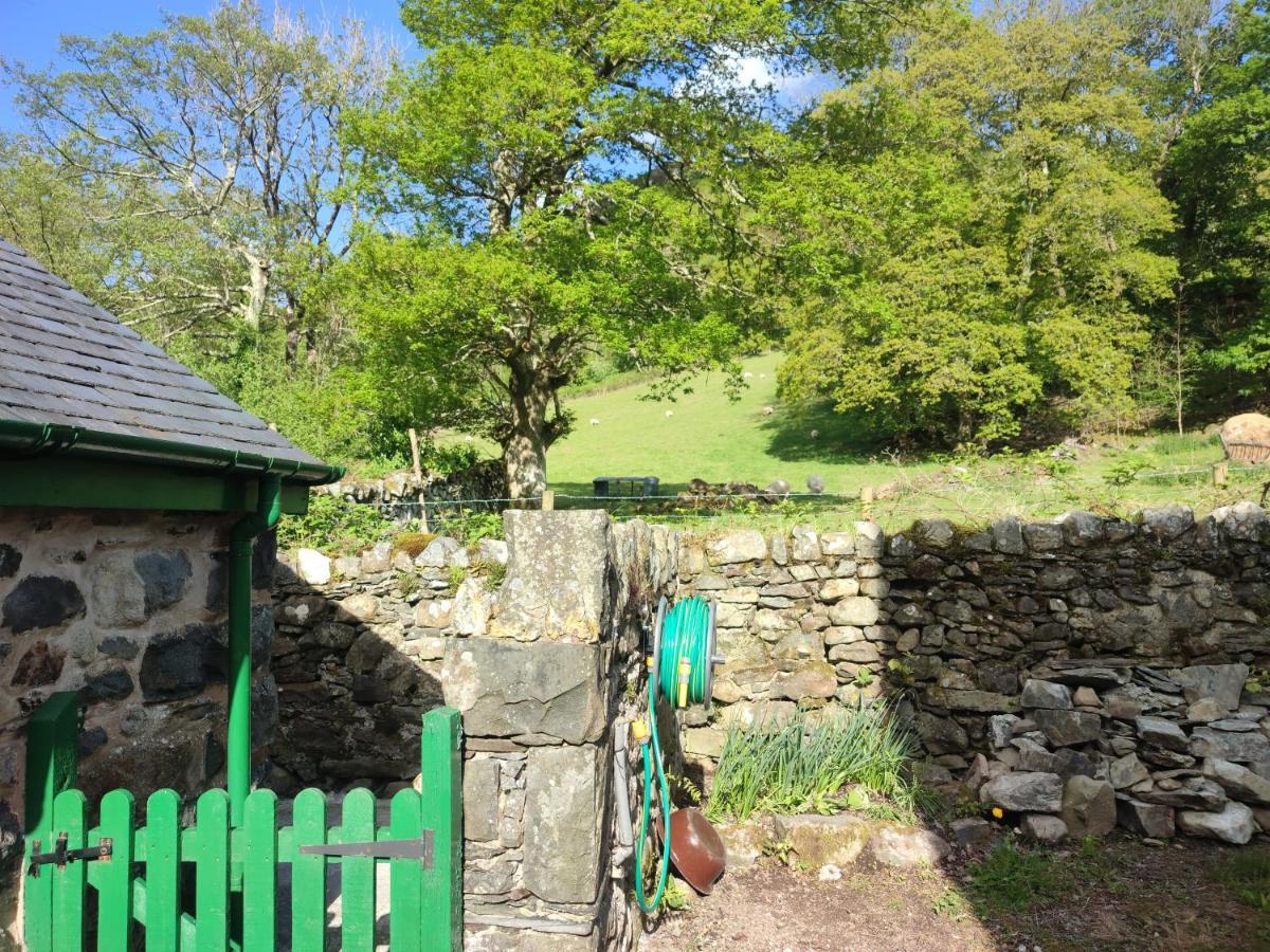 Y Gribyn - Modern Stone Cottage Within Snowdonia'S National Park Dolgellau Extérieur photo