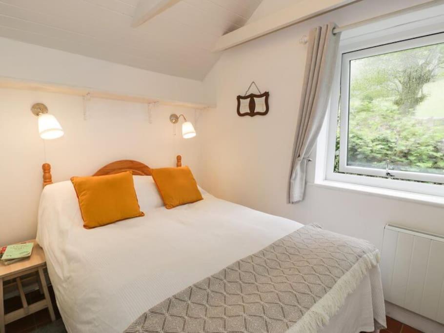 Y Gribyn - Modern Stone Cottage Within Snowdonia'S National Park Dolgellau Extérieur photo