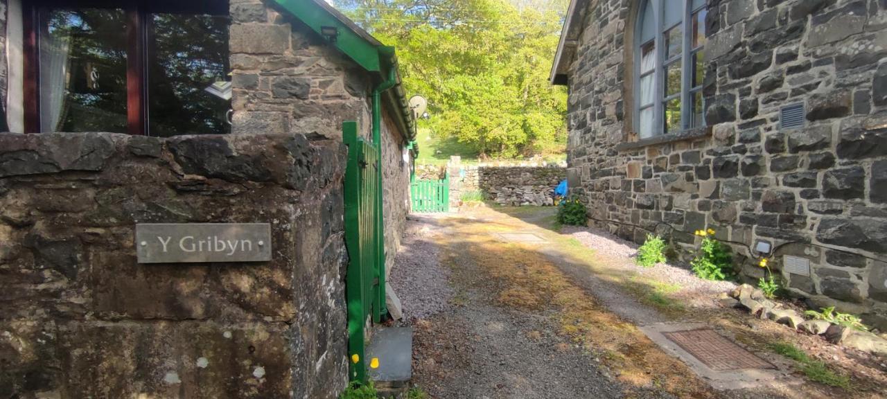 Y Gribyn - Modern Stone Cottage Within Snowdonia'S National Park Dolgellau Extérieur photo