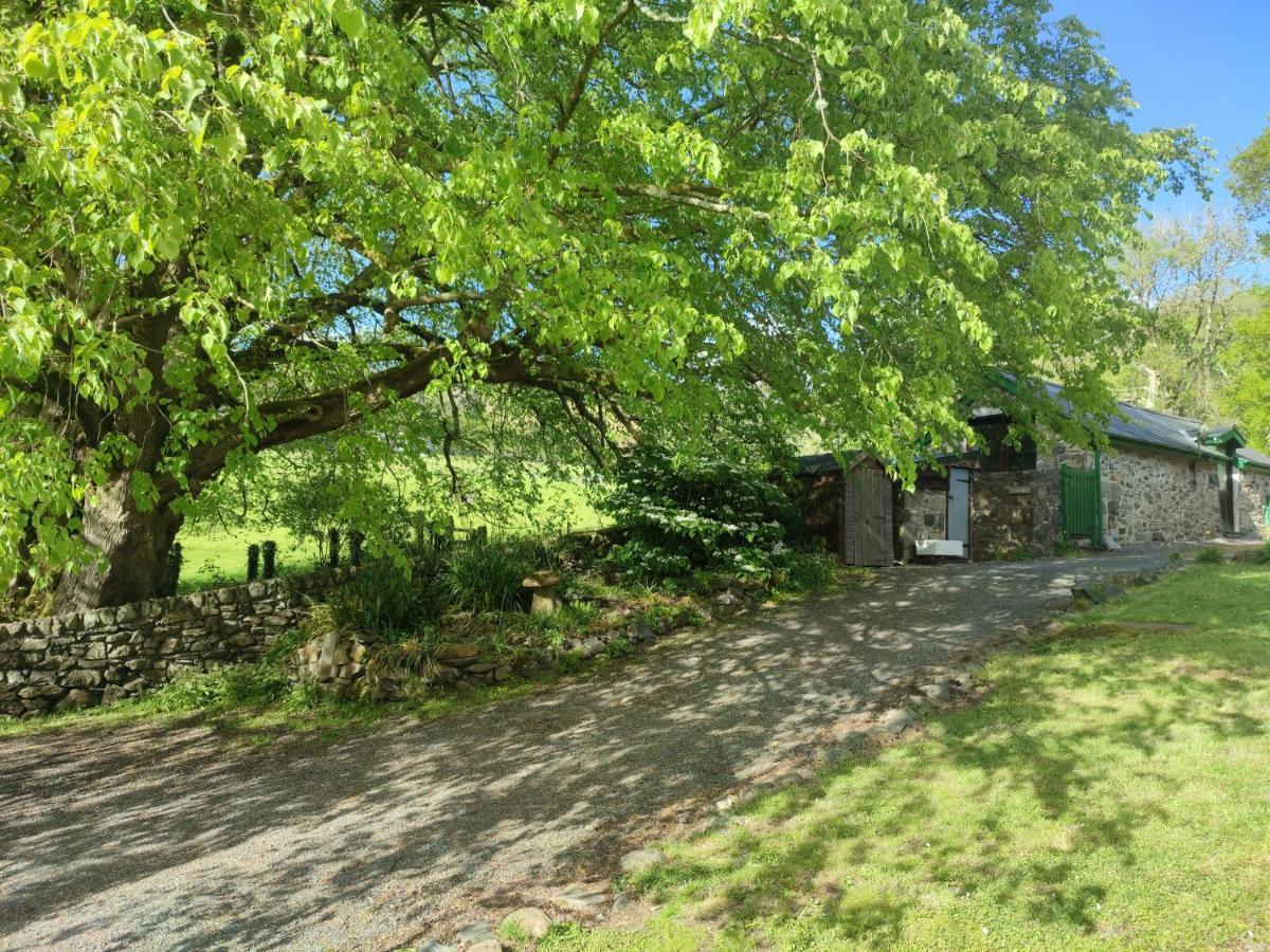 Y Gribyn - Modern Stone Cottage Within Snowdonia'S National Park Dolgellau Extérieur photo